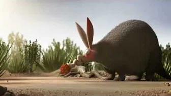 ANTS Teamwork - Video.mp4 Thumbnail