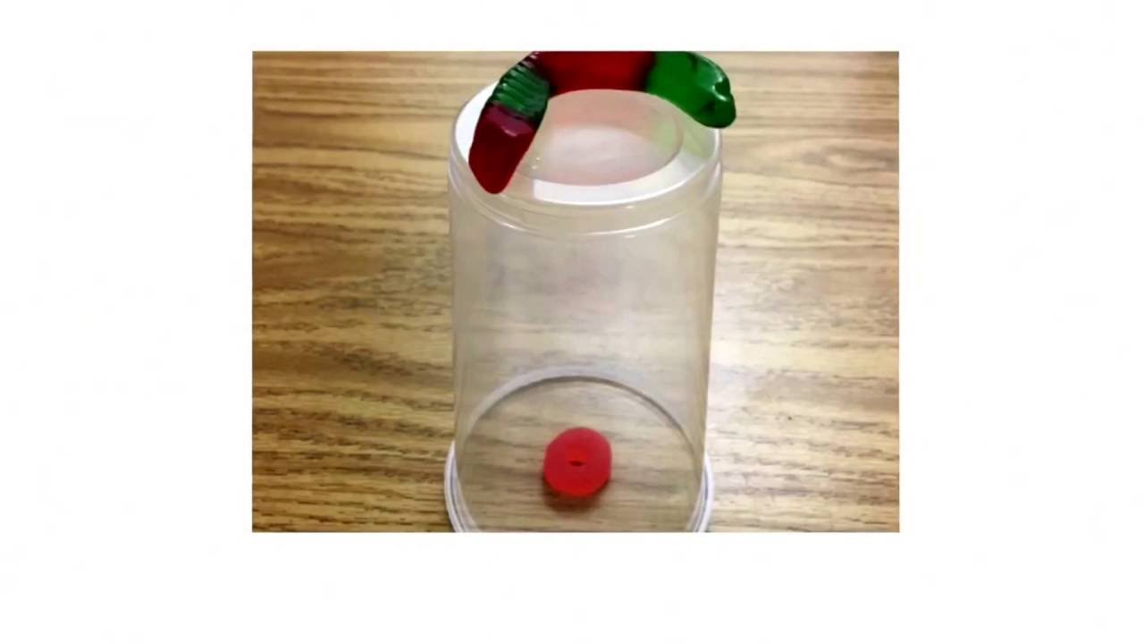 Help Save Fred! A Critical Thinking Activity