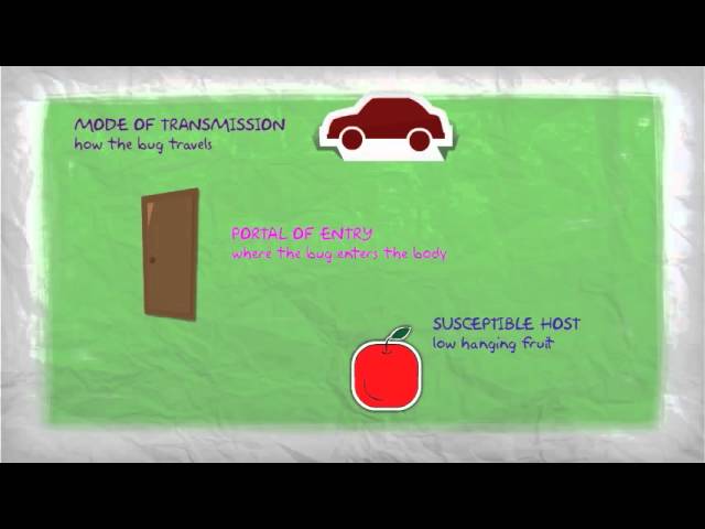 Chain of Infection Thumbnail