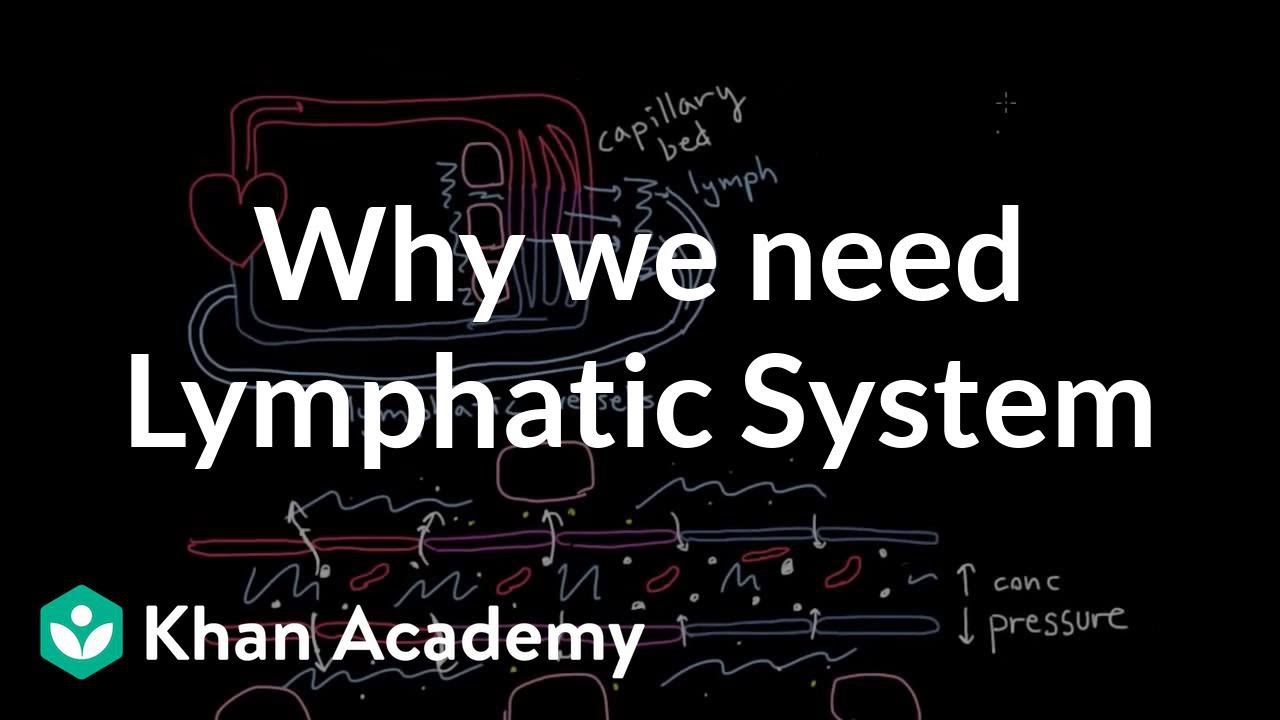 Why we need a lymphatic system | Lymphatic system physiology | NCLEX-RN | Khan Academy Thumbnail