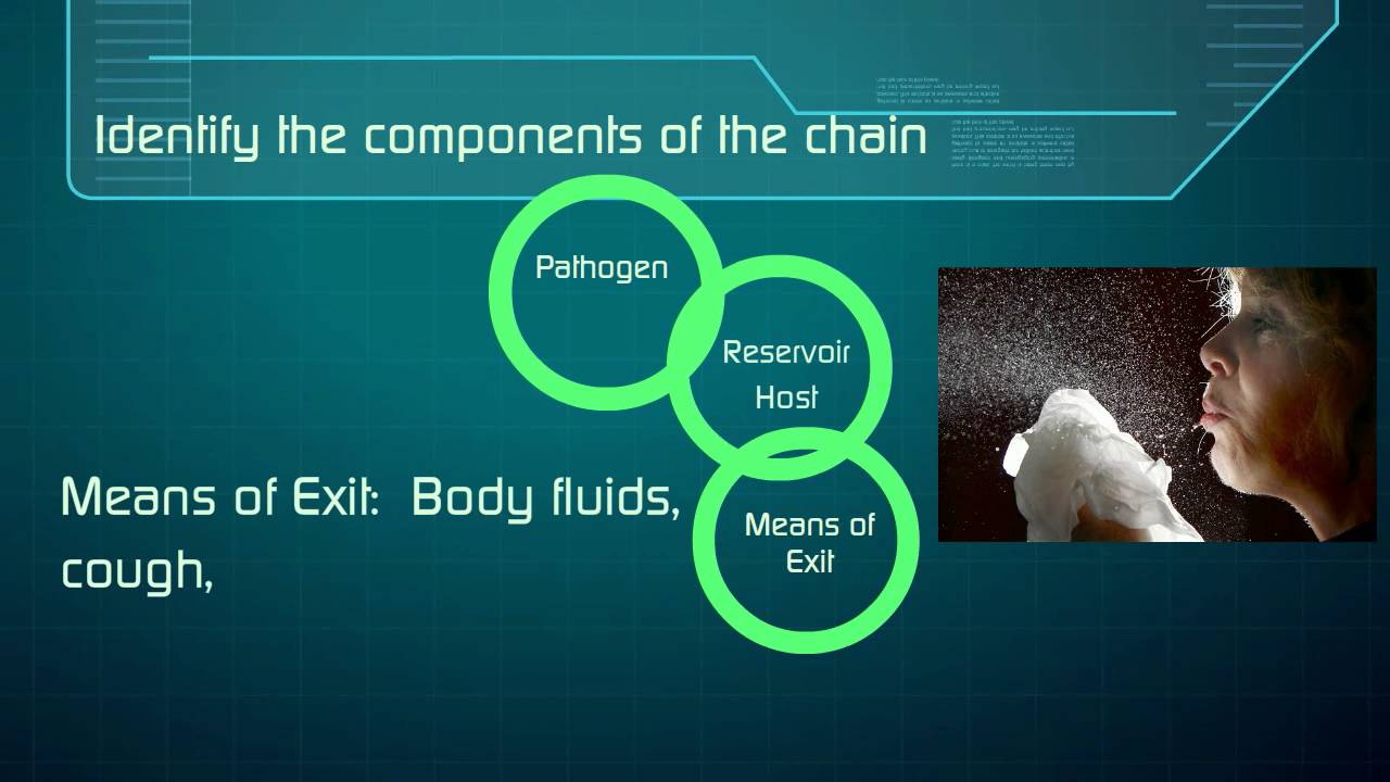 Chain of Infection Review Thumbnail