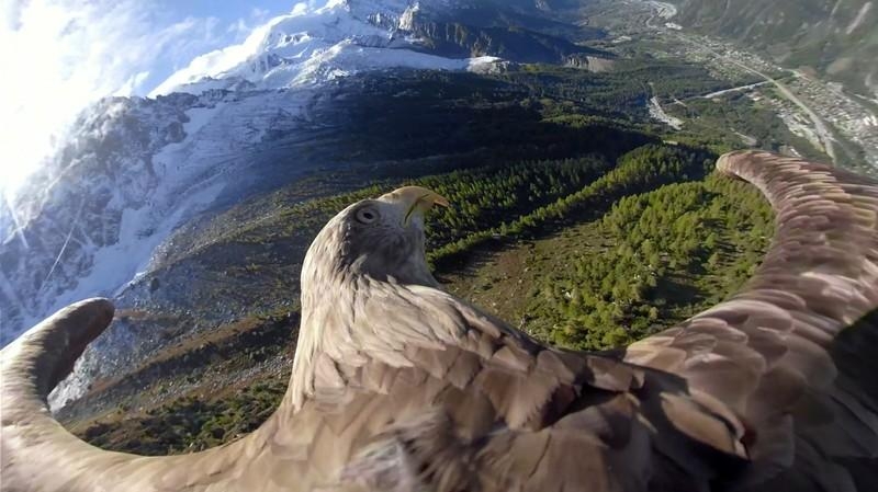 Eagle View April 29, 2020 Thumbnail