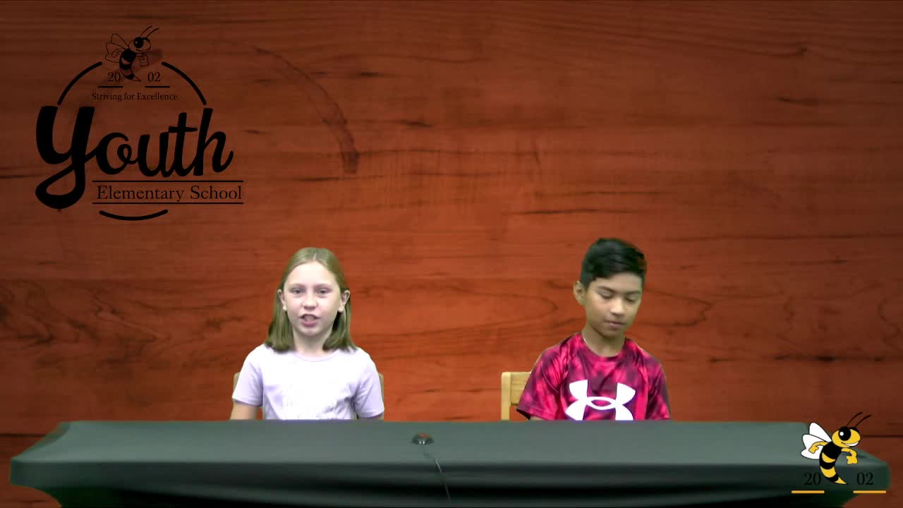 YES Live | Live Stream - August 21, 2024, 8:37 am Thumbnail