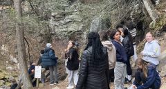 IMG_9261 Thumbnail