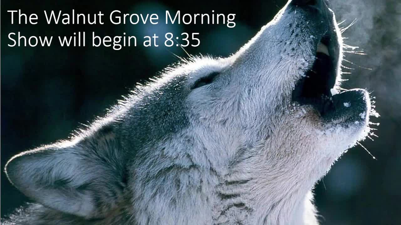 WGES Live | Live Stream - September 11, 2025, 8:37 am Thumbnail