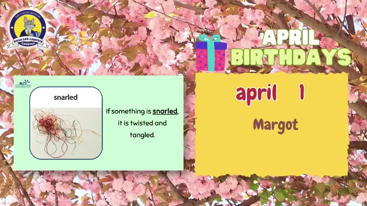 Rosa Lee Carter Elementary School | Live Stream - April 22, 2026, 8:37 am Thumbnail