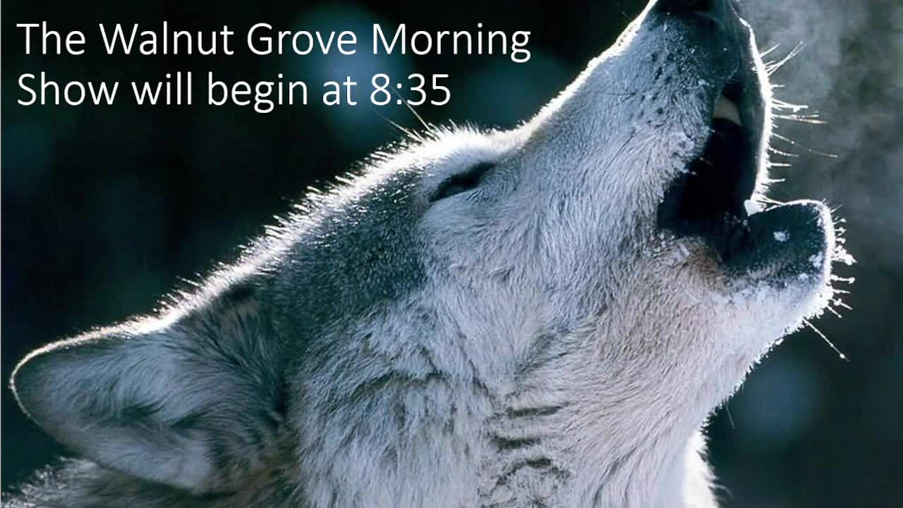 WGES Live | Live Stream - September 18, 2025, 8:42 am Thumbnail