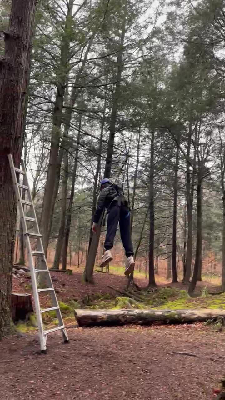 IMG_6684.MOV Thumbnail