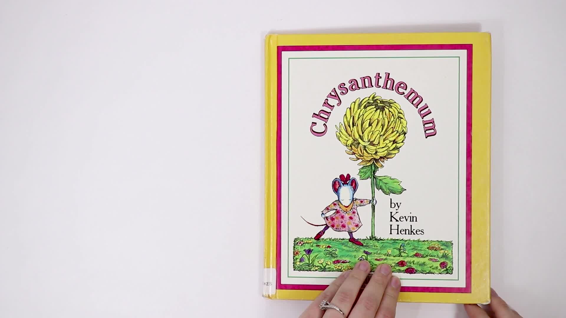 Chrysanthemum Thumbnail