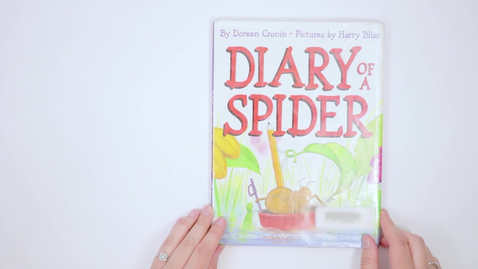 Diary Of A Spider Thumbnail