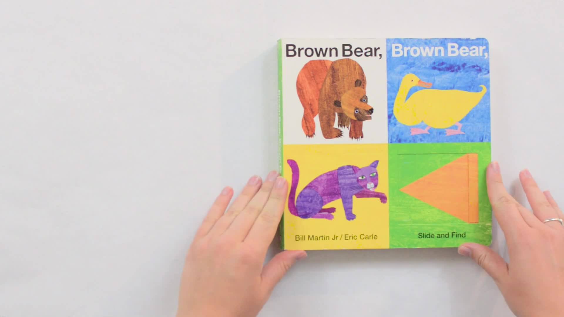 Brown Bear Brown Bear Thumbnail