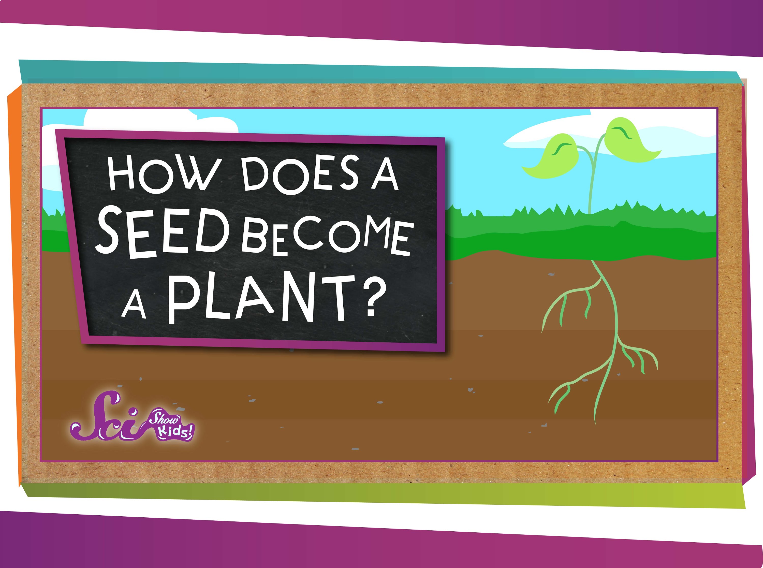 How Does A Seed A Plant? Backyard Science SciShow Kids